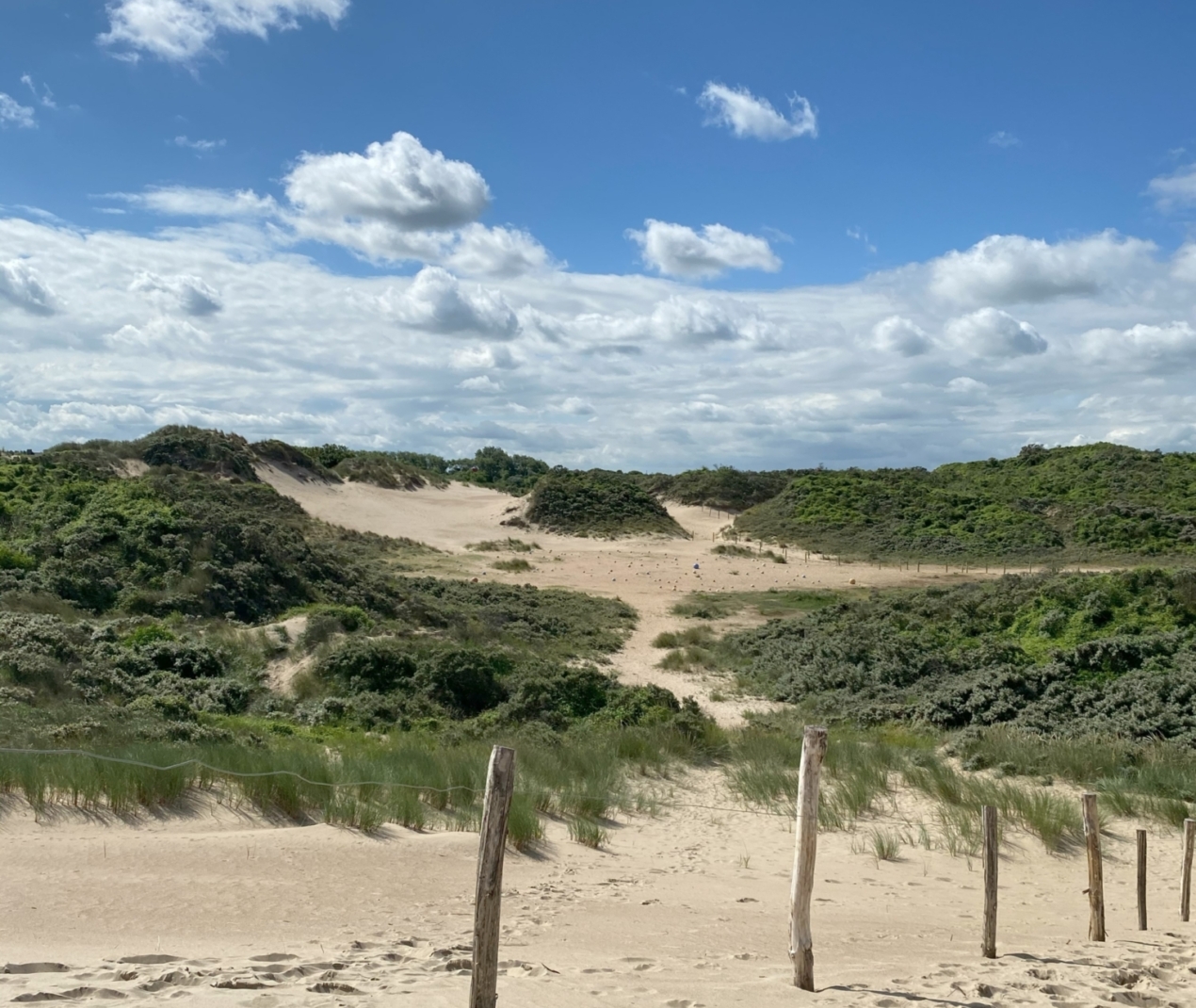 Duinen Oostduinkerke