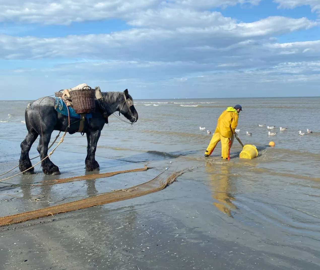 Garnaalvisser te paard Oostduinkerke
