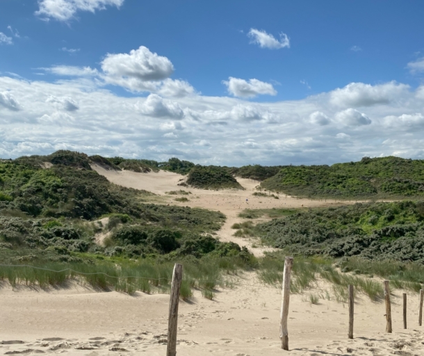 Duinen Oostduinkerke