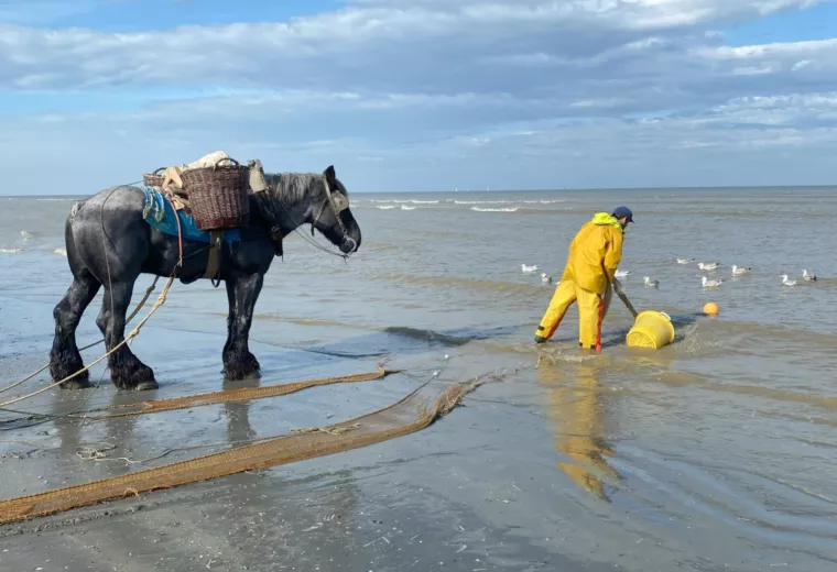 Garnaalvisser te paard Oostduinkerke